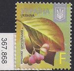 Украина 2015 год. Стандарт. Листья и плоды бересклета. 1 марка (номинал F)