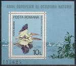 Румыния 1980 год. Пеликаны. Блок