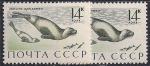СССР 1971 год. Тюлень-крылатка (3968). Разновидность - темный желтый цвет на левой марке (Ю)