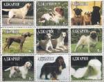 Аджария (Грузия) 1999 год. Собаки (1) (013.31). 9 марок