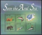 Туркмения 1996 год. Спасение Аральского моря (362.23). 1 блок