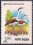Индия 1980 год. Интернациональный симпозиум орнитологов. 1 марка