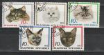 Кошки, КНДР 1983 год, 5 гашеных марок .