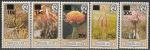 Свазиленд 1984 год. Цветы, 5 марок с надпечаткой 