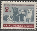 Болгария 1961 год. Советские собаки - космонавты, 1 гашёная марка 