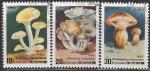 КНДР 1985 год. Грибы, 3 гашёные марки 