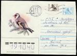 ХМК Щегол, 1993 год, прошёл почту 
