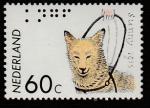 Нидерланды 1985 год. 50 лет Королевскому фонду собак - поводырей, 1 марка 