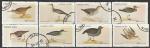 Нагаленд (Индия) 1972 год. Птицы, 8 гашёных марок (непочтовые марки)
