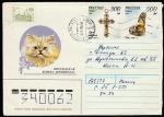 Конверт. Персидская кошка, 1995 год, прошёл почту