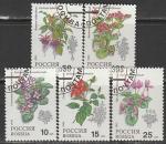 Россия 1993 год. Флора. Комнатные растения, 5 марок (гашёные) (77-81)