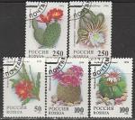 Россия 1994 год. Комнатные растения. Кактусы, 5 марок (гашёные) (144-148)