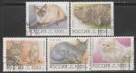 Россия 1996 год. Домашние кошки, 5 марок (гашёные) (266-270)