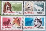 Румыния 2001 год. Собаки, 4 марки (297.5574)
