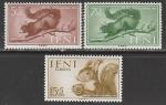 Ифни (Марокко) 1955 год. День почтовой марки. Белка, 3 марки 