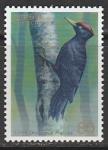 Япония 1995 год. Чёрный дятел, 1 марка (н