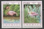 Куба 1993 год. Америка. Исчезающие птицы, 2 марки (н