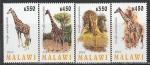 Малави 2010 год. Жирафы, 4 марки 