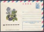 АВИА ХМК 78-300 Черноплодная рябина, 31.05.1978 год