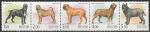 Россия 2002 год , Собаки,  5 марок сцепка