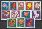 Цветы, Польша 1964 год, 12 марок (н