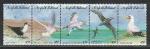 Птицы, Чайки, Норфолк 1994, 5 марок сцепка