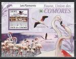 Птицы, Фламинго, Коморы 2009, блок