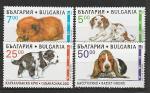 Болгария 1997 г, Собаки, 4 марки. (н