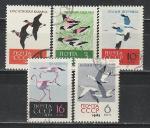 СССР 1962 год, Птицы, 5 гашёных марок.