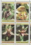 Цветы, Орхидеи, Кипр 1981 г, квартблок