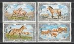 Монголия 1986 год. Охраняемые животные. Дикие лошади. 4 марки.