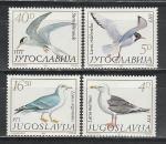Югославия 1984 год, Птицы, Чайки, 4 марки