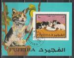 Фуджера 1970, Котята, гаш. блок Фуджера 1970, Котята, гаш. блок