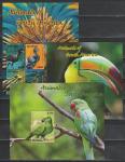 Фауна Южной Америки, Гайяна 2014 г, малый лист   блок