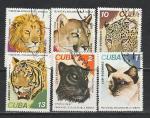 Кошки Зоопарков, Куба 1977 год, 6 гашёных марок