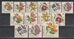 Цветы, Бурунди 1966 год, 13 гашёных марок