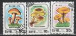 Грибы, КНДР 1987 год, 3 гашёные марки