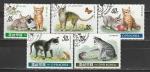 Кошки, КНДР 1991 год, 5 гашёных марок