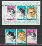 Кошки, КНДР 1977 год, 3 гашёные марки + малый лист