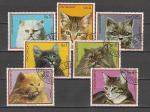 Кошки, Парагвай 1982, 7 гаш. марок