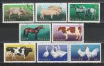 Домашние Животные, Польша 1975 год, 8 гашеных марок