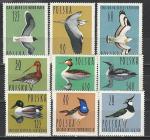 Птицы, Польша 1964 год, 9 марок