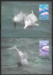 Картмаксимум. Комплект 4 шт. Китайский белый дельфин со СГ - Гонг Конг WWF 14.11.99 г. 