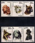 Румыния 1971 год. Собаки. 5 гашеных марок.  нет м (2,40л