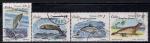 Куба 1980 год. Морские животные. 4 гашеные марки