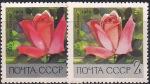 СССР 1969 год. Роза "Ямная поляна" (3674). Разновидность - тёмно-розовый цвет справа, красный - слева.