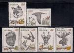 Польша 1981 год. Охотничья фауна. 6 гашеных марок