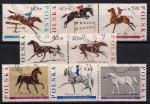 Польша 1967 год. 150 лет конному спорту. 8 гашеных марок