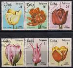 Куба 1982 год. Тюльпаны. 6 гашеных марок