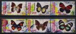 Конго 2013 год. Бабочки. 6 марок